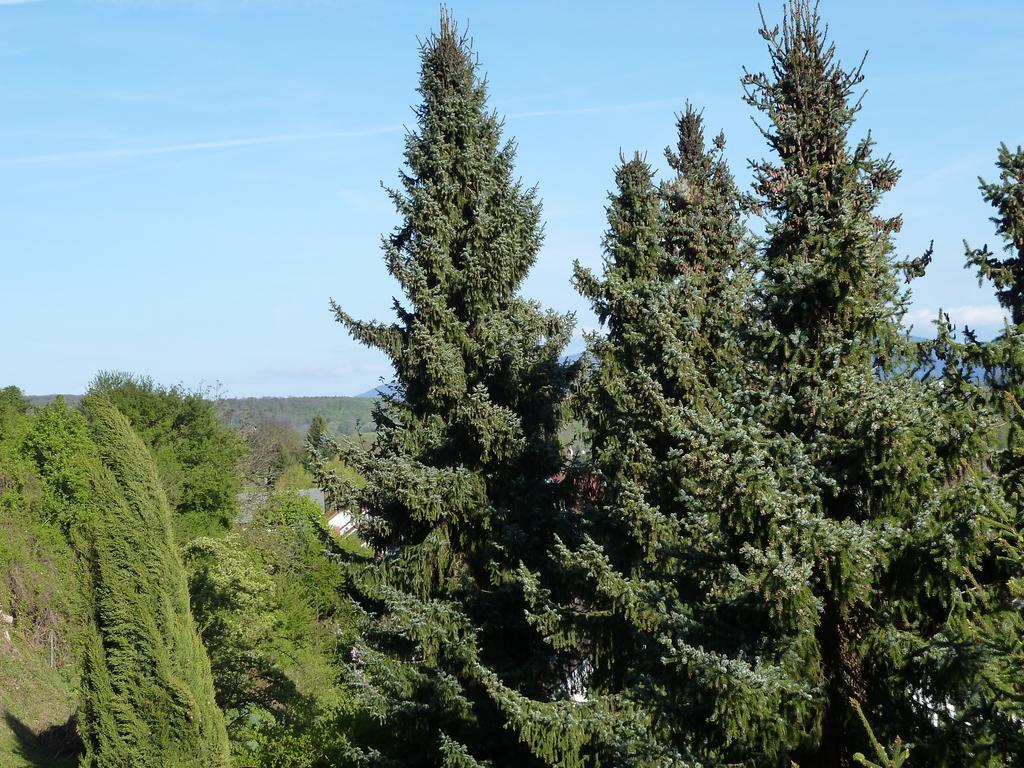 Helle 70 Qm Ferienwohnung Mit Herrlichem Blick Teningen Exterior foto